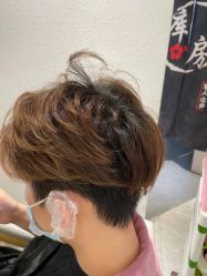 -菲·木田moontin造型salon