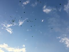 -南京圣和府邸豪华精选酒店