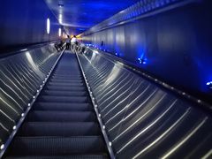 -白鹤梁水下博物馆