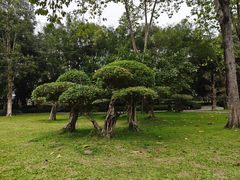 -南宁南湖公园