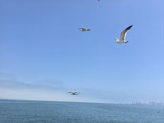 -悦海公园