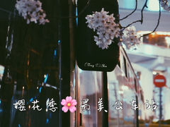 -上海南浦大桥长途旅游客运站