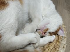 -乔波室内滑雪场