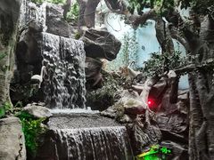 -多彩贵州城极地海洋世界