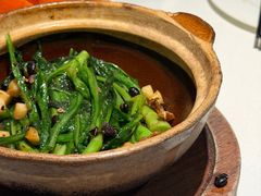 豆豉鲮鱼油麦菜-四季民福烤鸭店(通州马驹桥店)