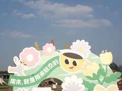 -空港花田景区