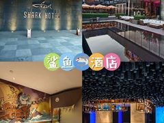 -哈尔滨波塞冬海底世界