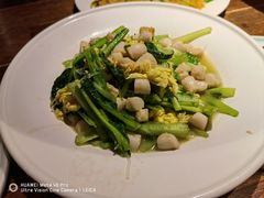 -前海沿·青岛菜(大拇指广场石老人店)