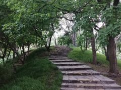 -团结湖公园