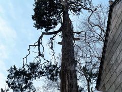 -终南山南五台景区