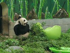 -南昌动物园