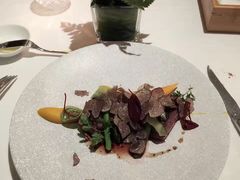 -蝶舍·MAISON PAPILLON