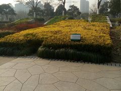 -白塘生态植物园