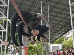 -清迈夜间动物园