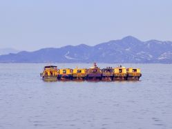 -巍阁高端月子会所