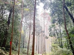 -凤栖山