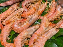 -初色海鲜自助(万丰路店)