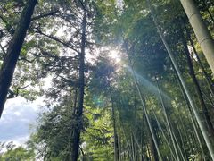 -莫干山风景区