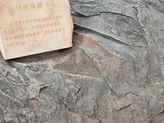 -中国第四纪冰川遗迹陈列馆