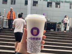 -一只酸奶牛(八一路店)