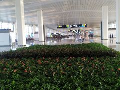 -石家庄正定国际机场-T2航站楼
