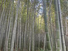 -南山风景名胜区