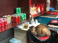 -协和菜馆(凤凰街店)