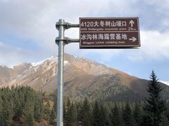 -冰沟林海