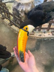 -Zoolung Zoolung动物主题公园(海信广场店)