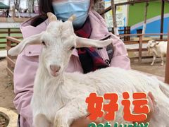 -盈香心动乐园