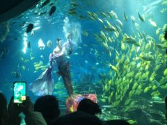 -海合安武汉极地海洋公园
