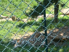 -大连森林动物园