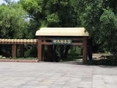 -黑龙江省森林植物园