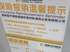 -瑞鹏宠物医院·骨外科·心肾科·肿瘤科(九亭店)