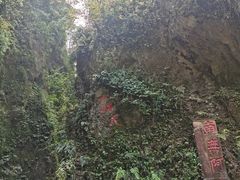 -峨眉山风景名胜区