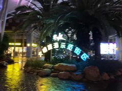 -三亚海昌梦幻海洋不夜城