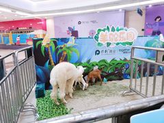 -保利MALL(天鹅湖店)