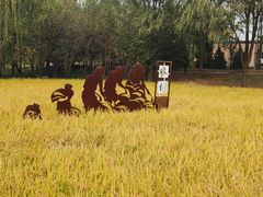 -北坞公园