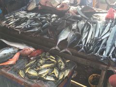 -尼甘布海鲜市场