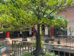 -小榄公饭店·岭南庭院餐厅(民安北路店)