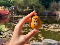 -三忘湖 SWANSEEN(柳荫公园店)