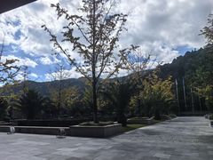 -大理实力希尔顿酒店•香全日制餐厅