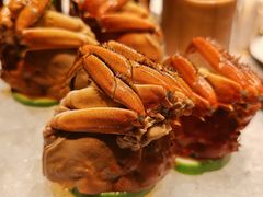 -海立阁海鲜江浙菜(漕河泾印象城店)