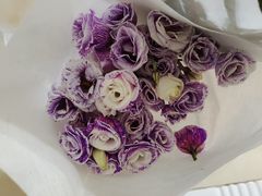 -循礼门鲜花花市(武汉循礼门店)