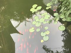 -苏州文旅花间堂·探花府酒店