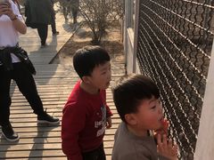 -临沂动植物园
