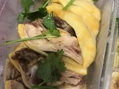 -九斤黄三黄鸡专卖店