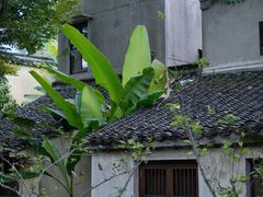 -乌村