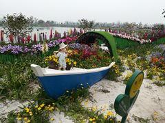-荷兰花海