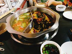 -百口川老火锅(西科大新区店)
